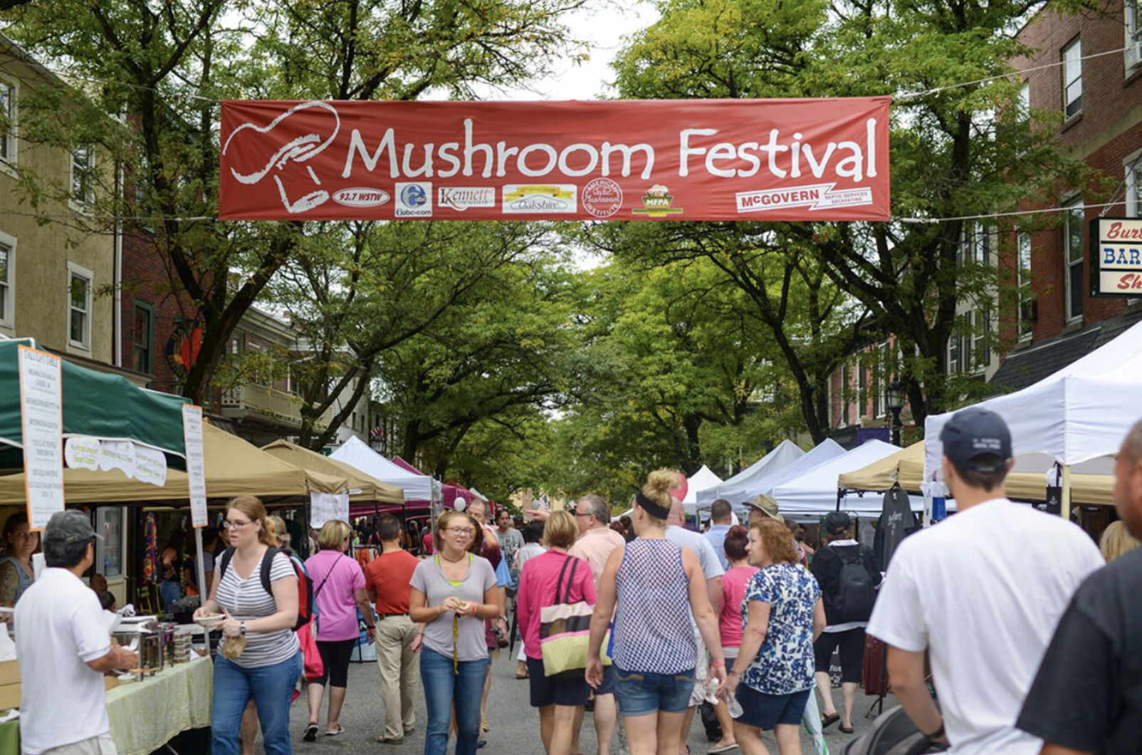 世界蘑菇之都本周末将举办第39届蘑菇节